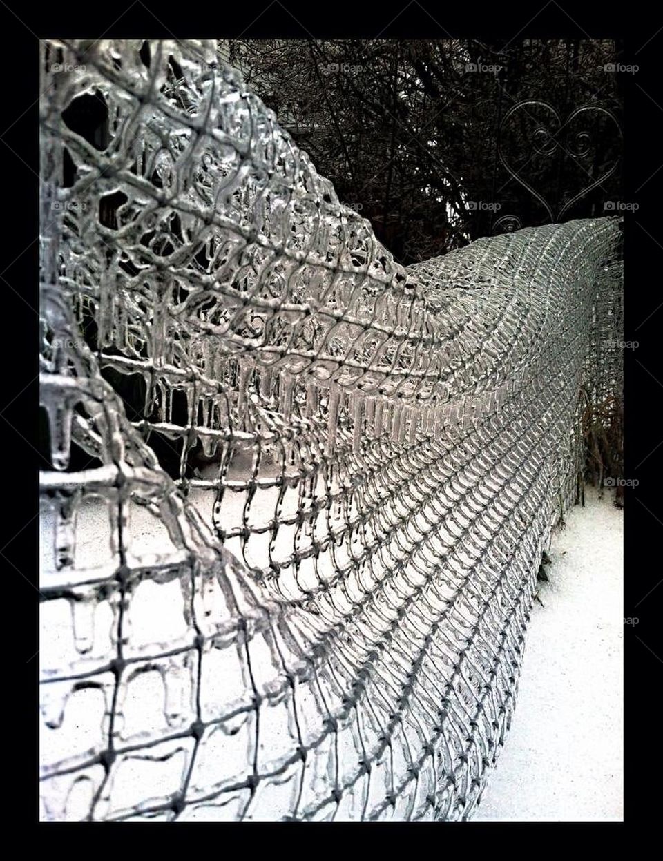 Ice fence