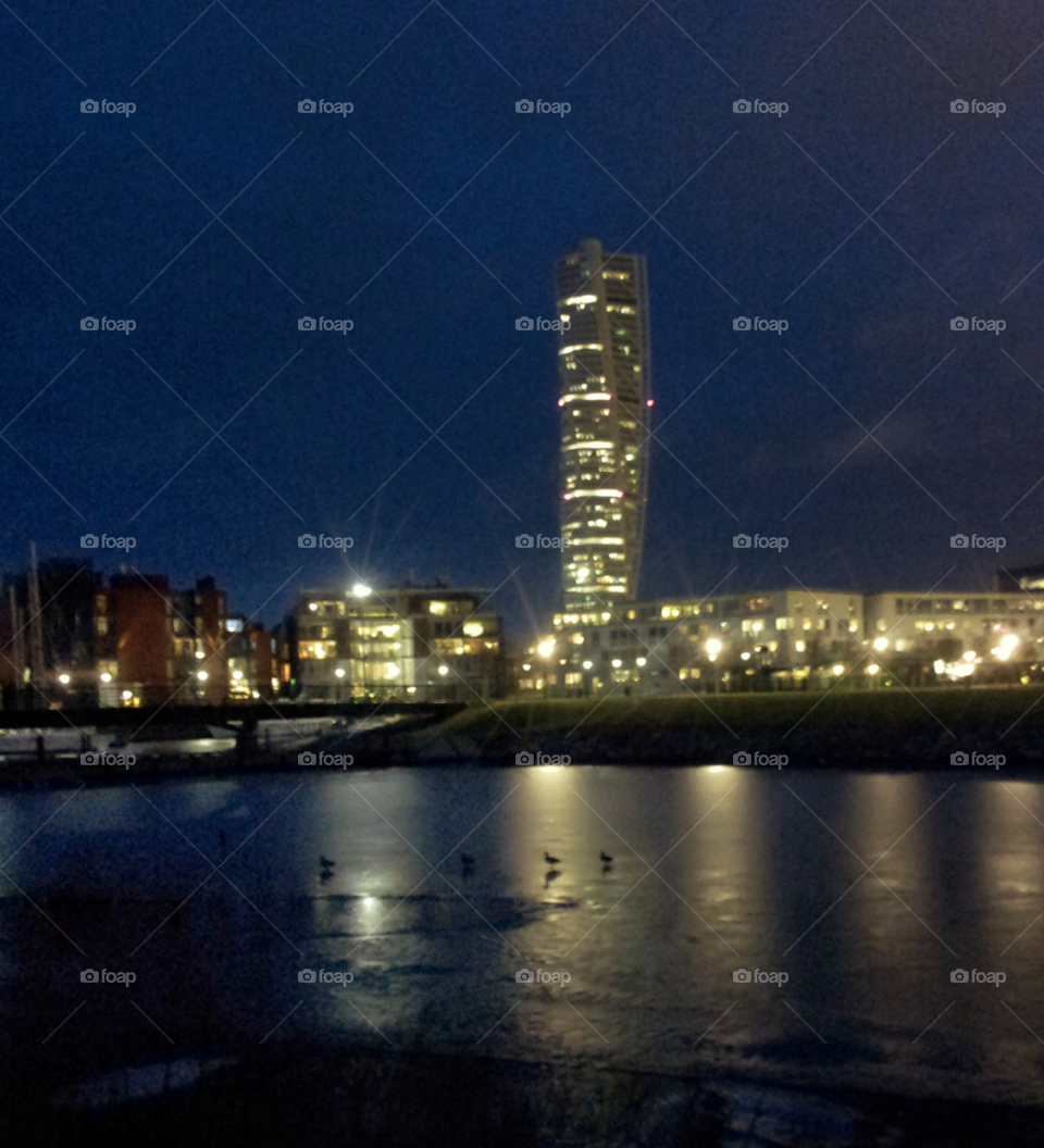 malmö lake night ducks by rui.dellavanzi