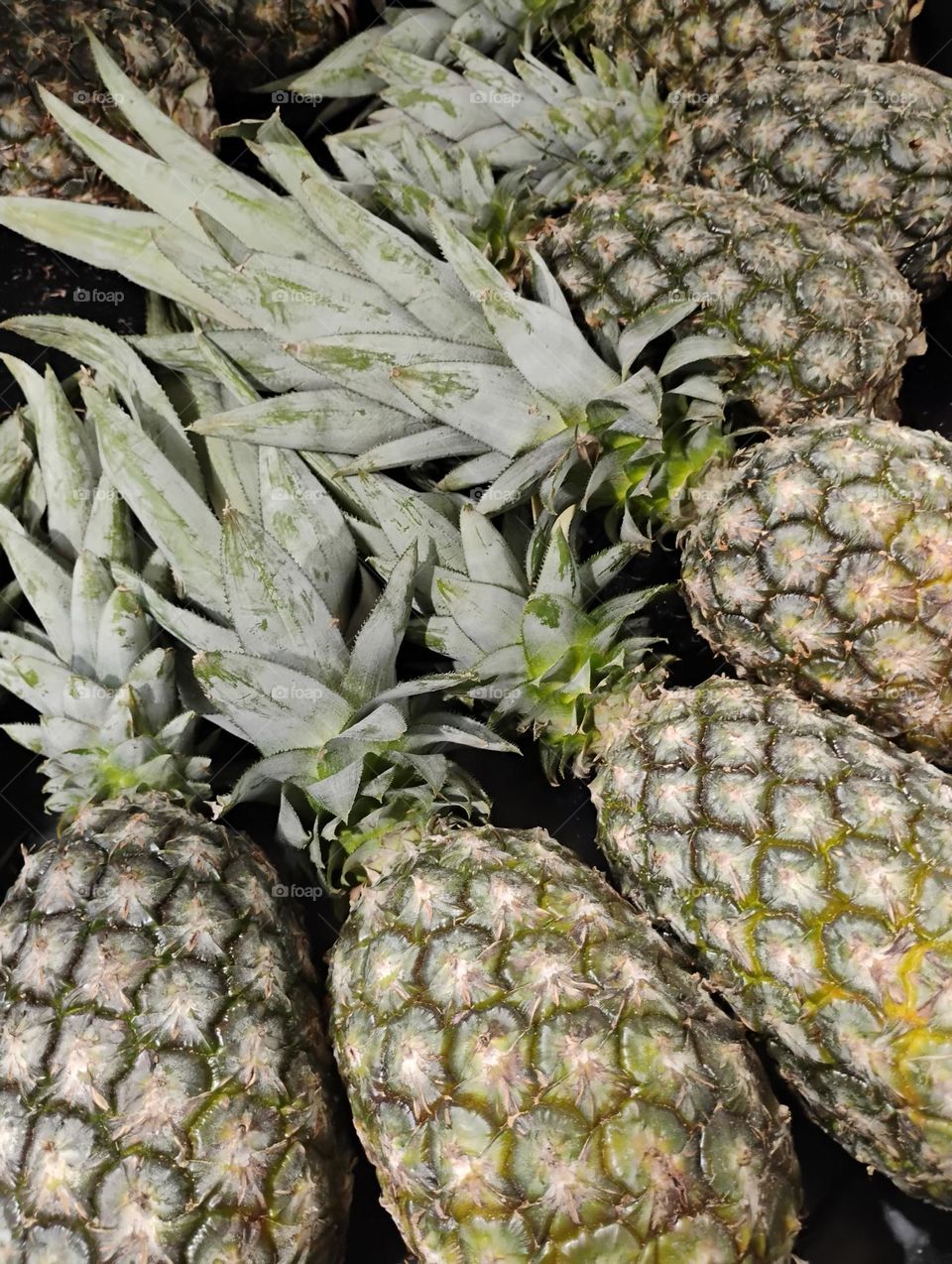 Abacaxi é uma fruta tropical, rica em vitaminas e minerais, fibras e antioxidantes , que pode trazer várias benefícios para a saúde, como o fortalecimento do sistema imunológico e previne doenças e infecções respiratórias