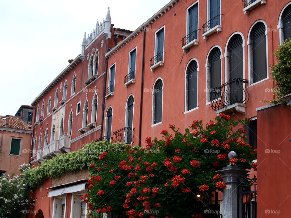 houses with flower's