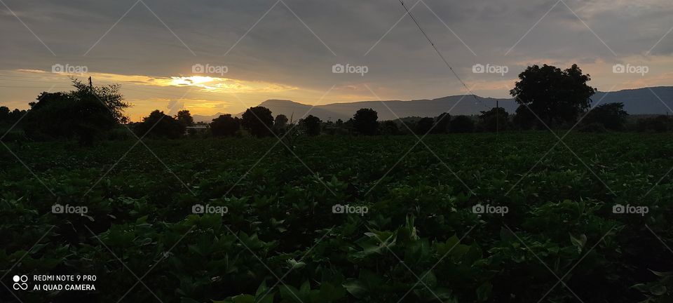 A fireball giving life to everyone like the Sun, which is a gift to the human system