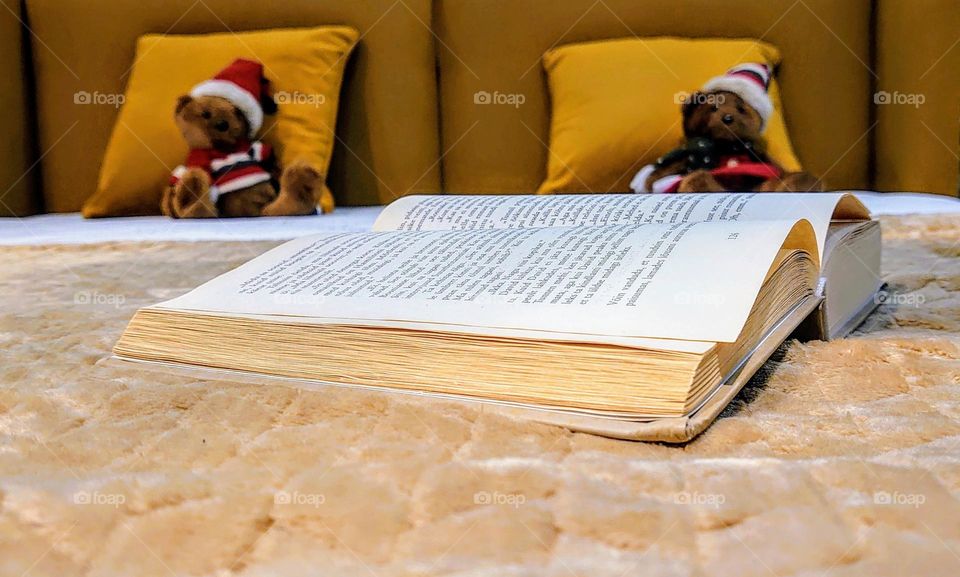 Teddy bear and book