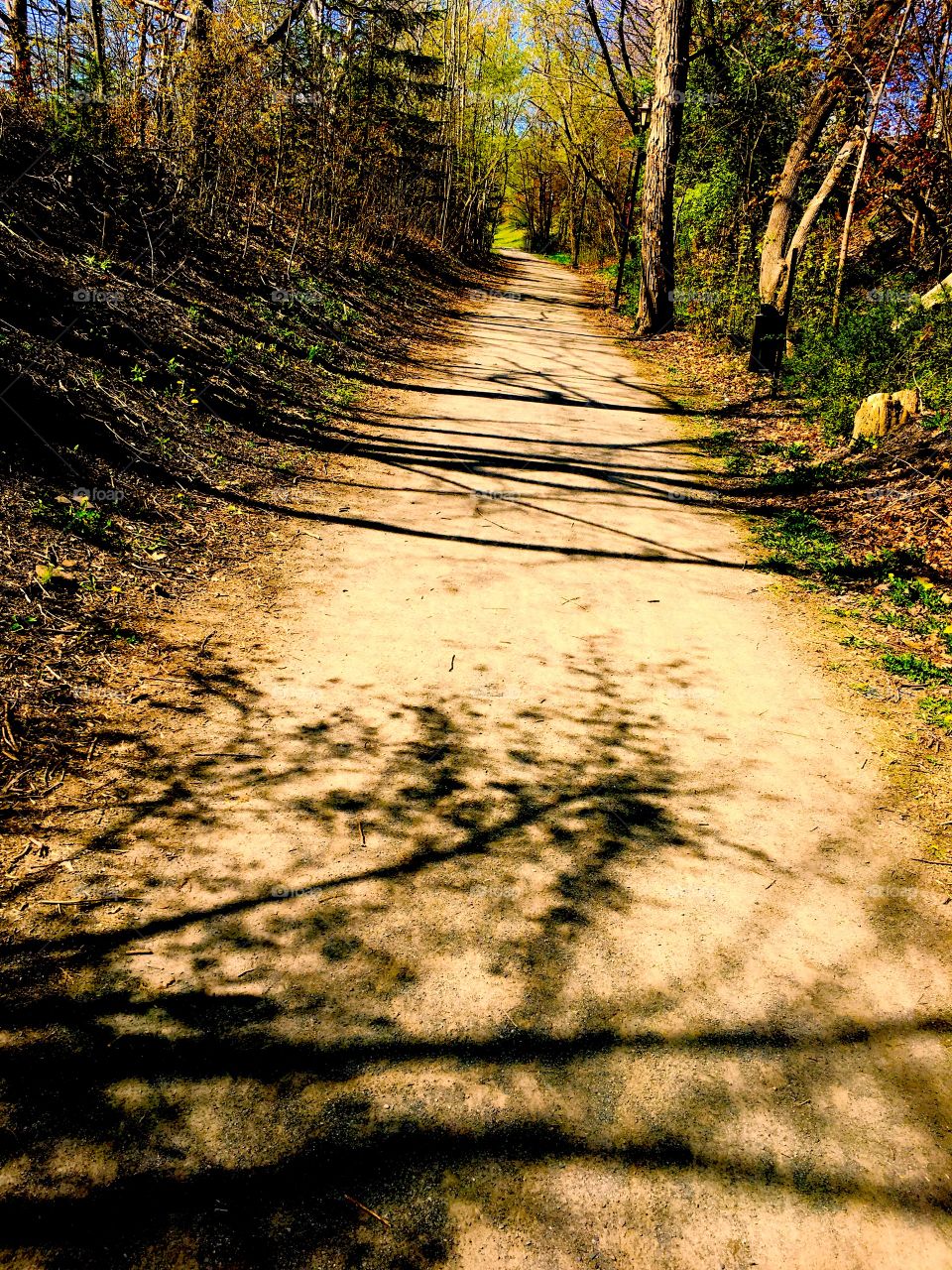 A nice walking trail on a nice day 