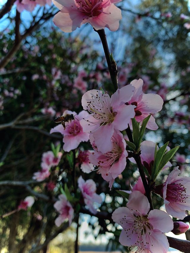 naturaleza 