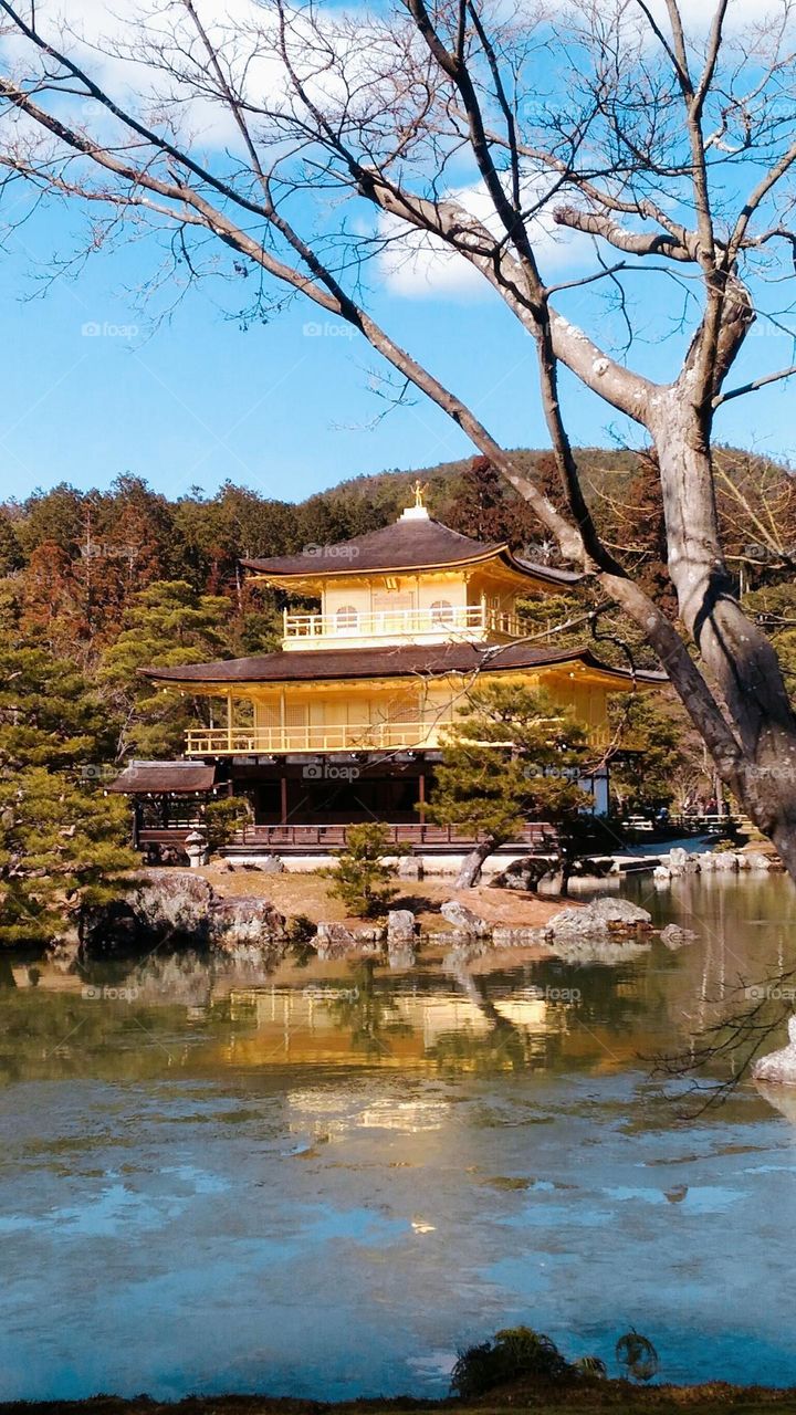 Kinkaku-ji temple