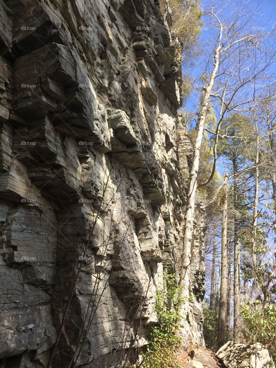 Natural stone wall