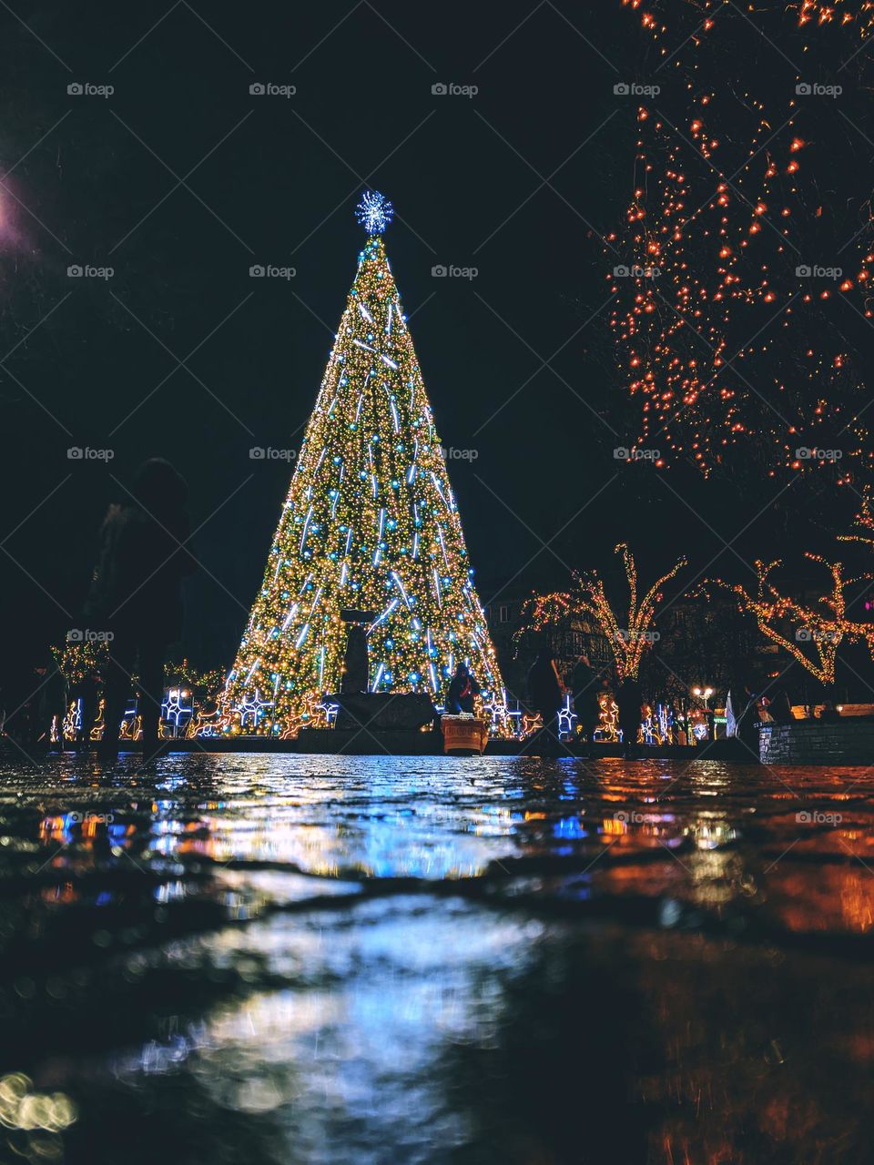 Ground up photo of the Christmas tree in the city reflecting in the road at night.  New Year season