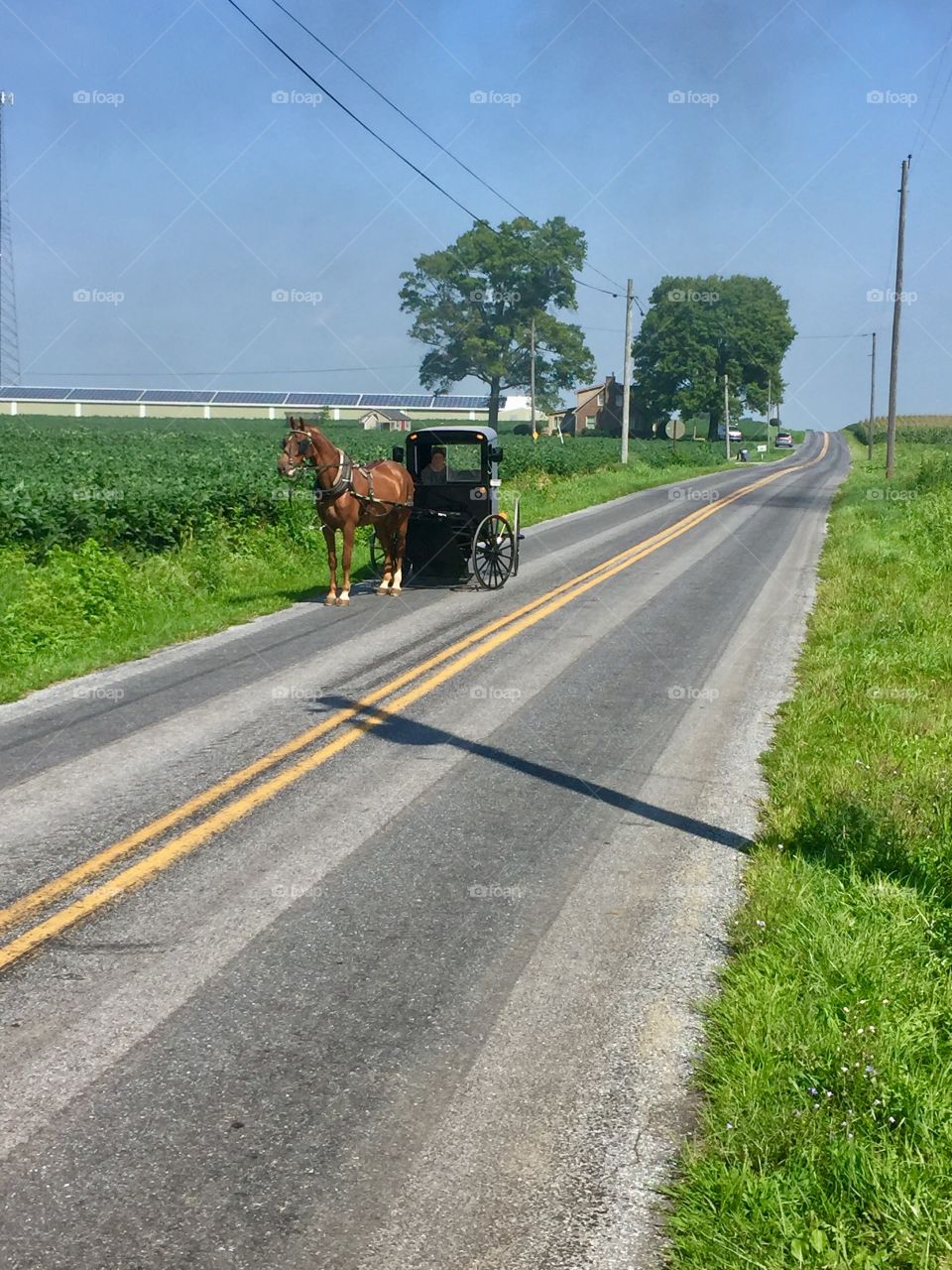 Amish