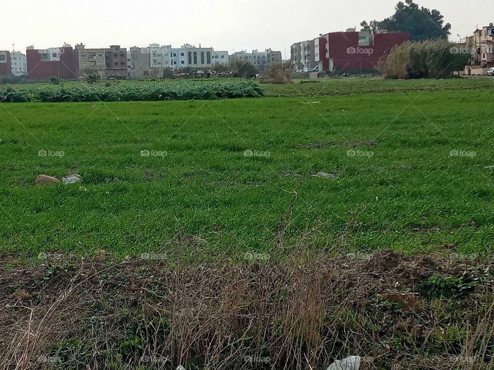 population between the nature