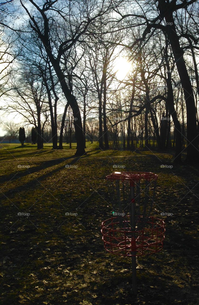 Disc Golf 4
