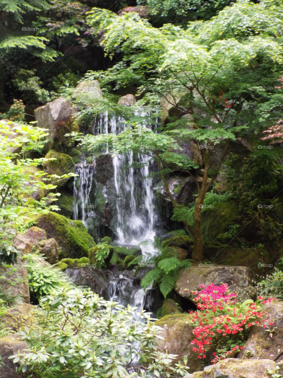 Japanese gardens in Portland