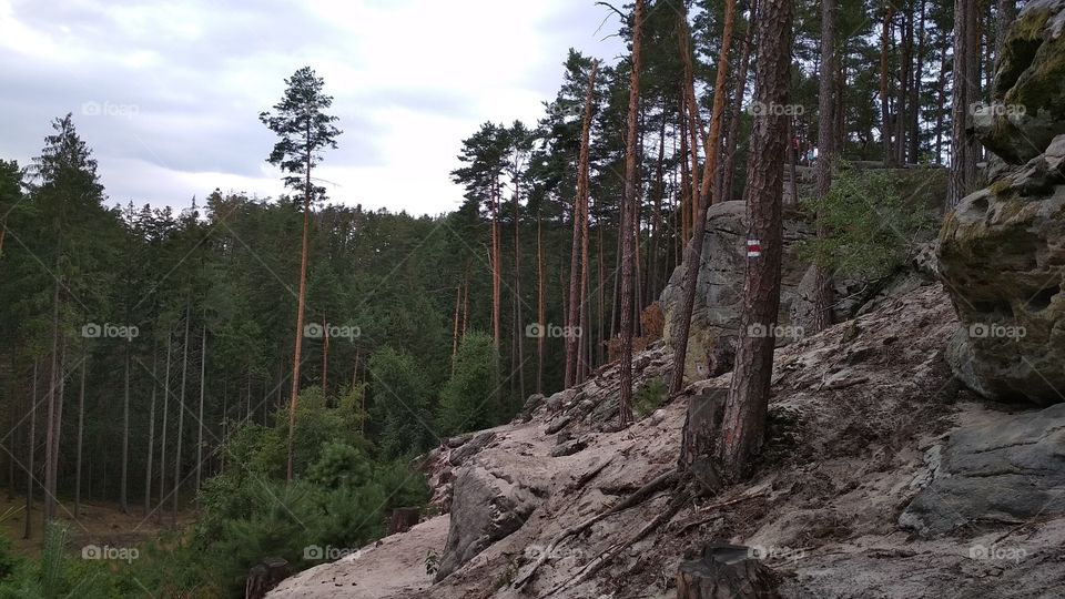 Czech mountains scenery