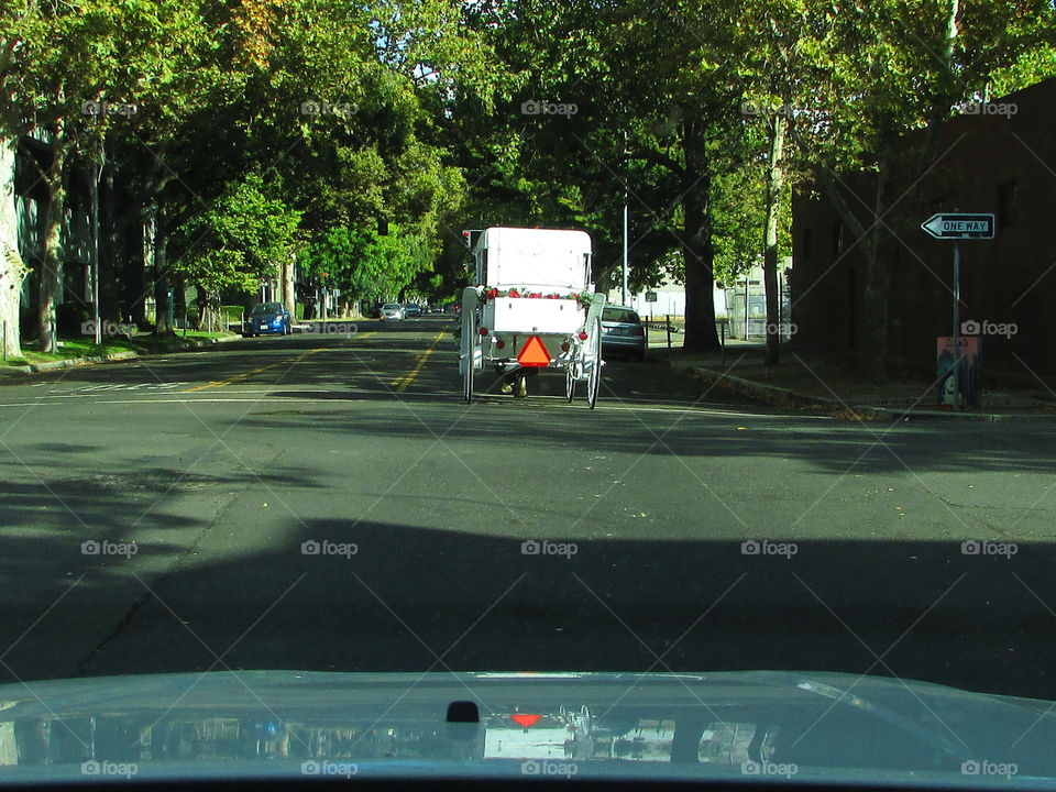 Road, Vehicle, Street, Transportation System, Car