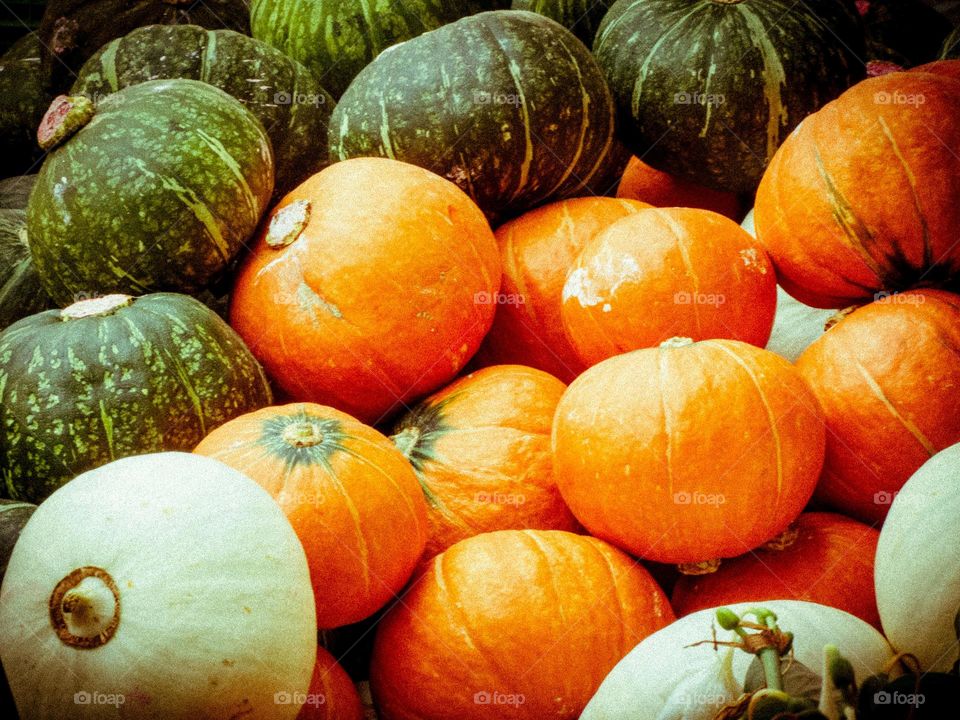 pumpkin. Pumpkin, pumpkin orange, Japan, Japanese pumpkin, yellow, white, Japanese pumpkin, background, vegetables and fruits
