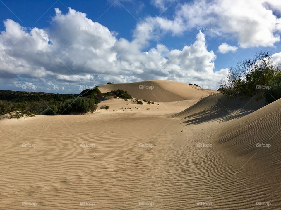 Golden sand dunes along the South Australia coast at Southern Ocean in spring time, glorious sunny day with interesting cloud formations Lincoln National Park.