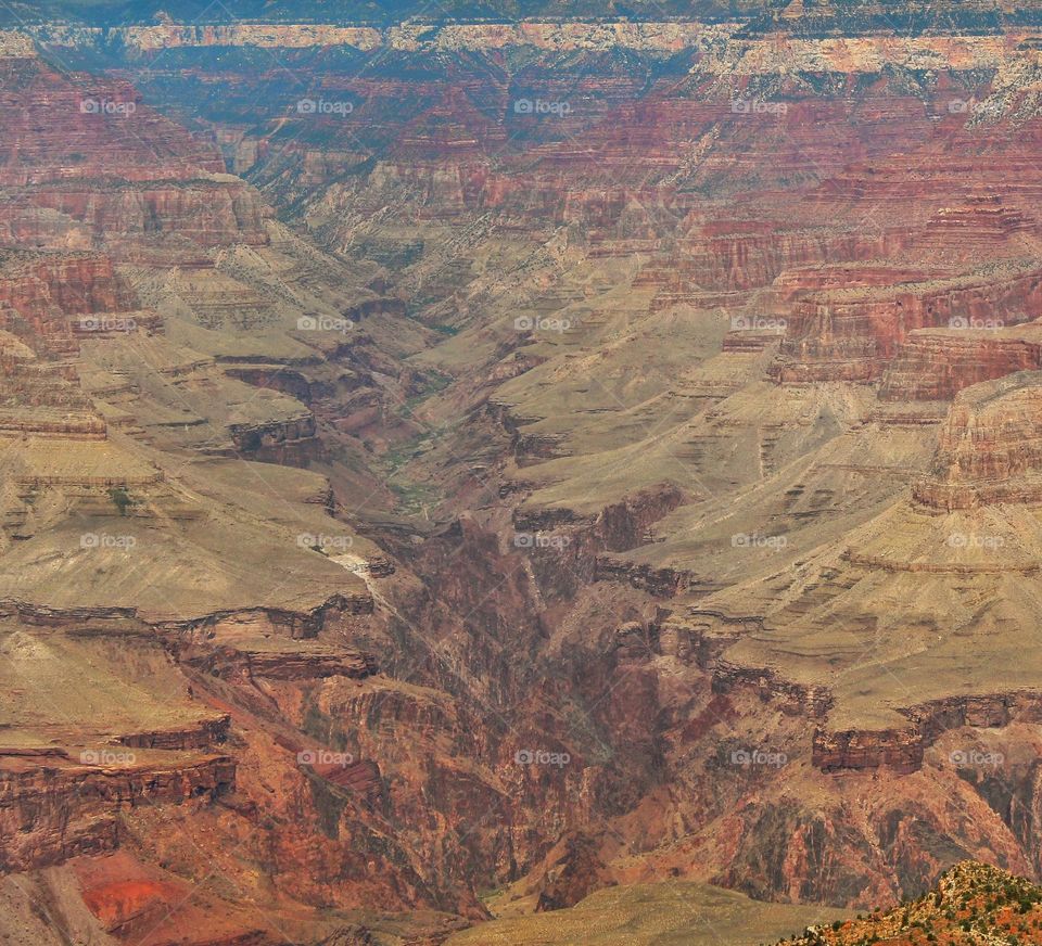 the details of Grand Canyon