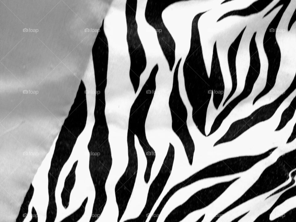 black and white zebra print