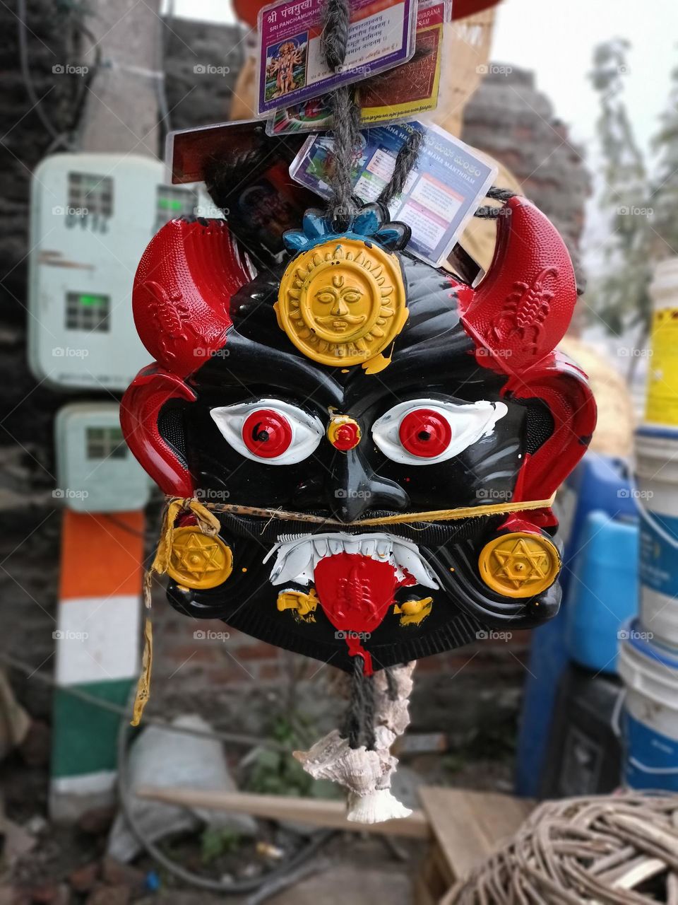 editors' choice: photo of the week