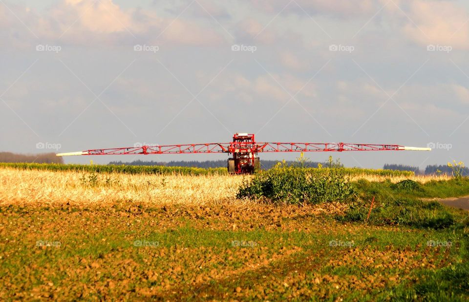 agriculture