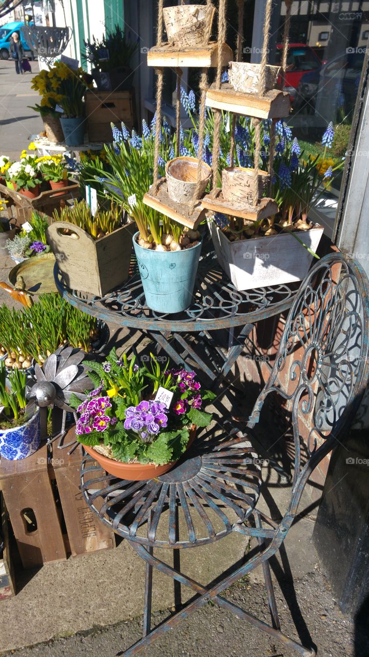 Potted plants on table for sale