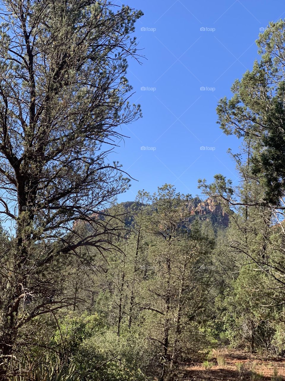 Distress Natural therapy.