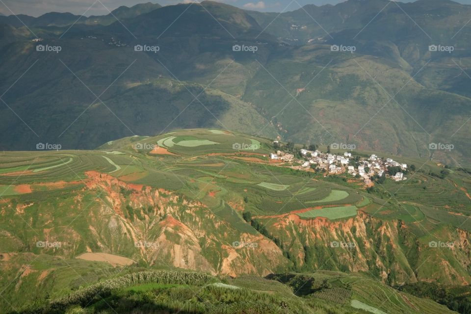 Amazing fields of rice in northern China d.y
