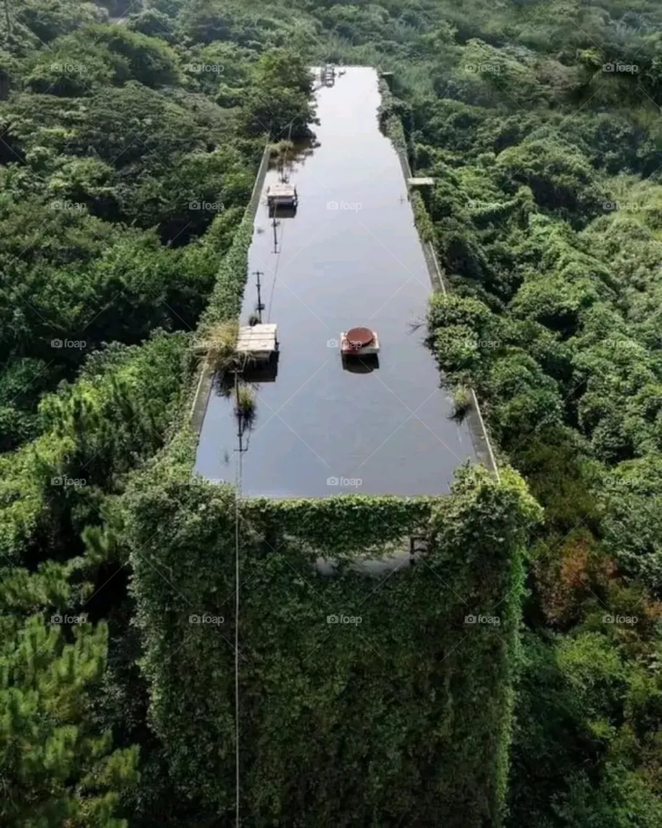 the view of nature conservancy