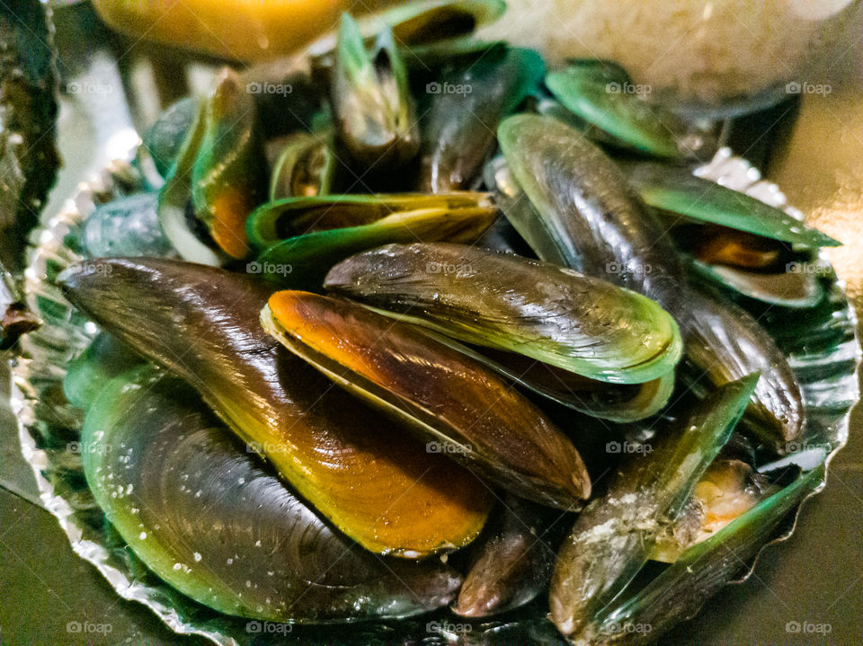 Mussels