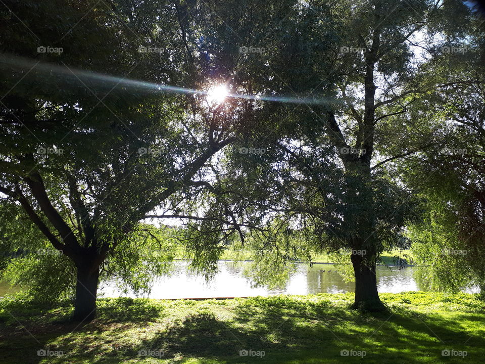 Lakeland Sunlight