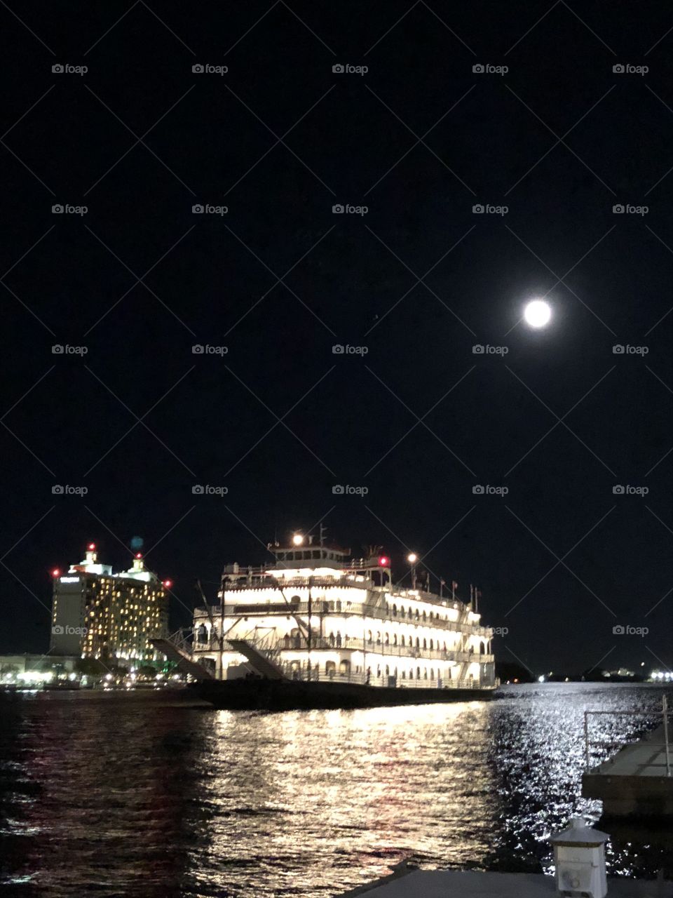 Moonlight on the Savannah
