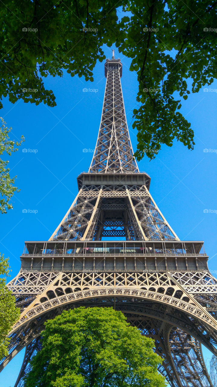 Low angle view of Eiffel Tower