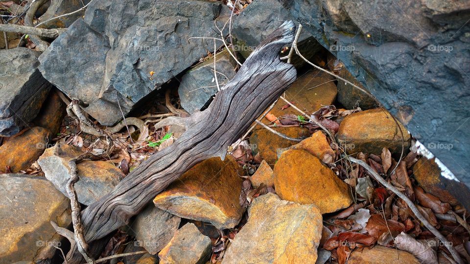 Rochas e vegetais, minérios, madeiras. Pedras com cores de metais. Matas, rios, ilhas. Fenômenos da natureza. Belezas de nosso planeta.
