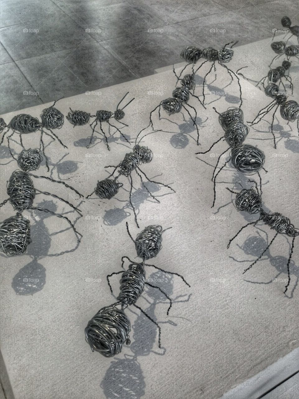 Ants and arts