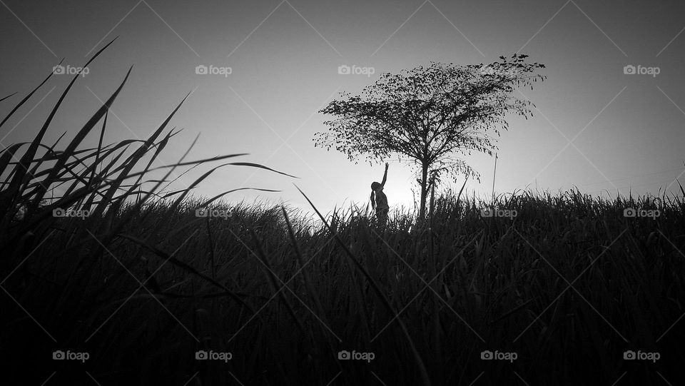 someone walking towards the top of a hill in the evening