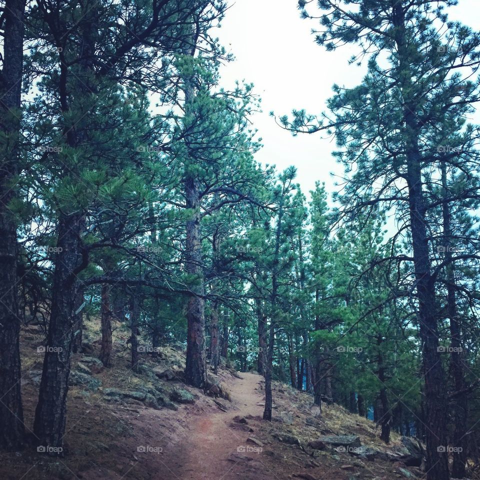 I could run this path for days and weeks. 