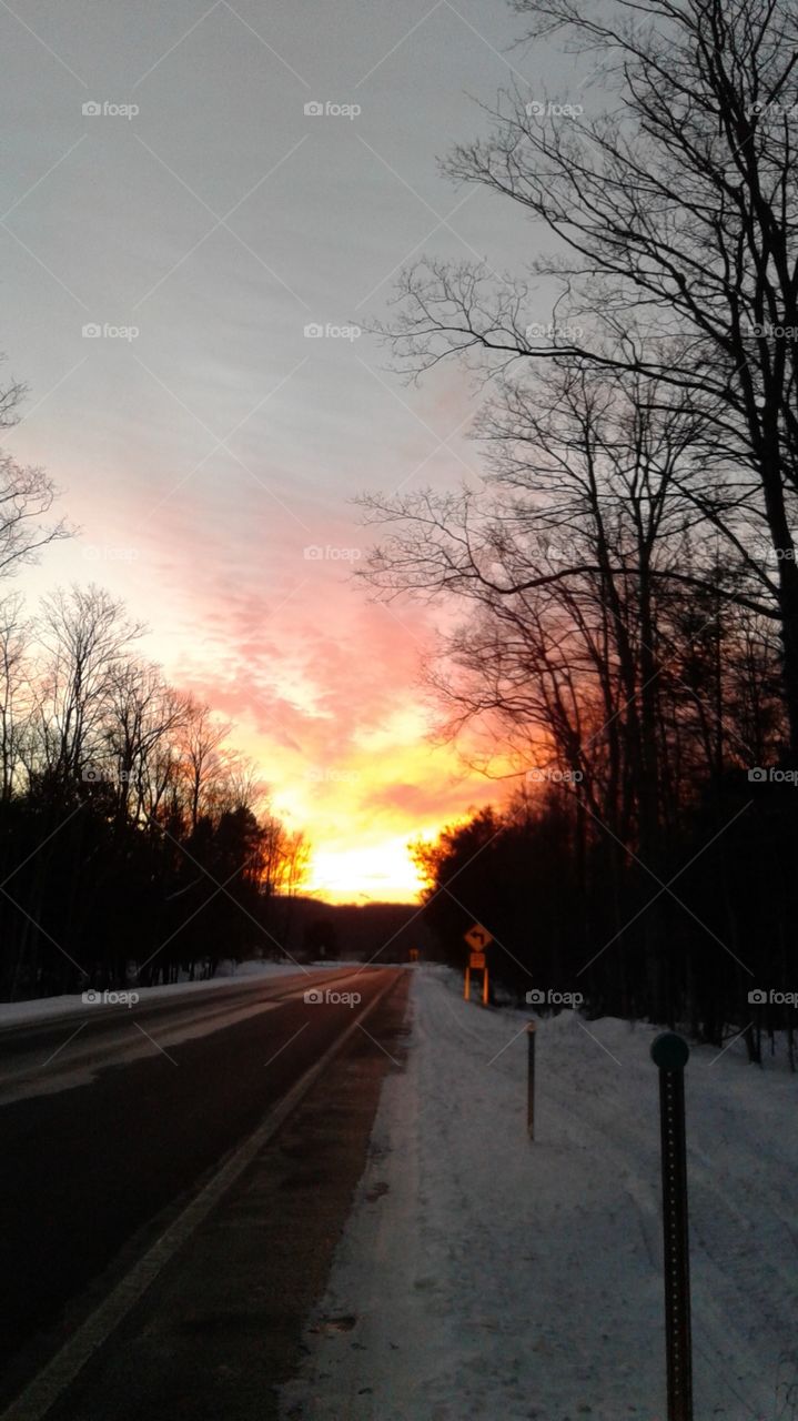 Northern Michigan 