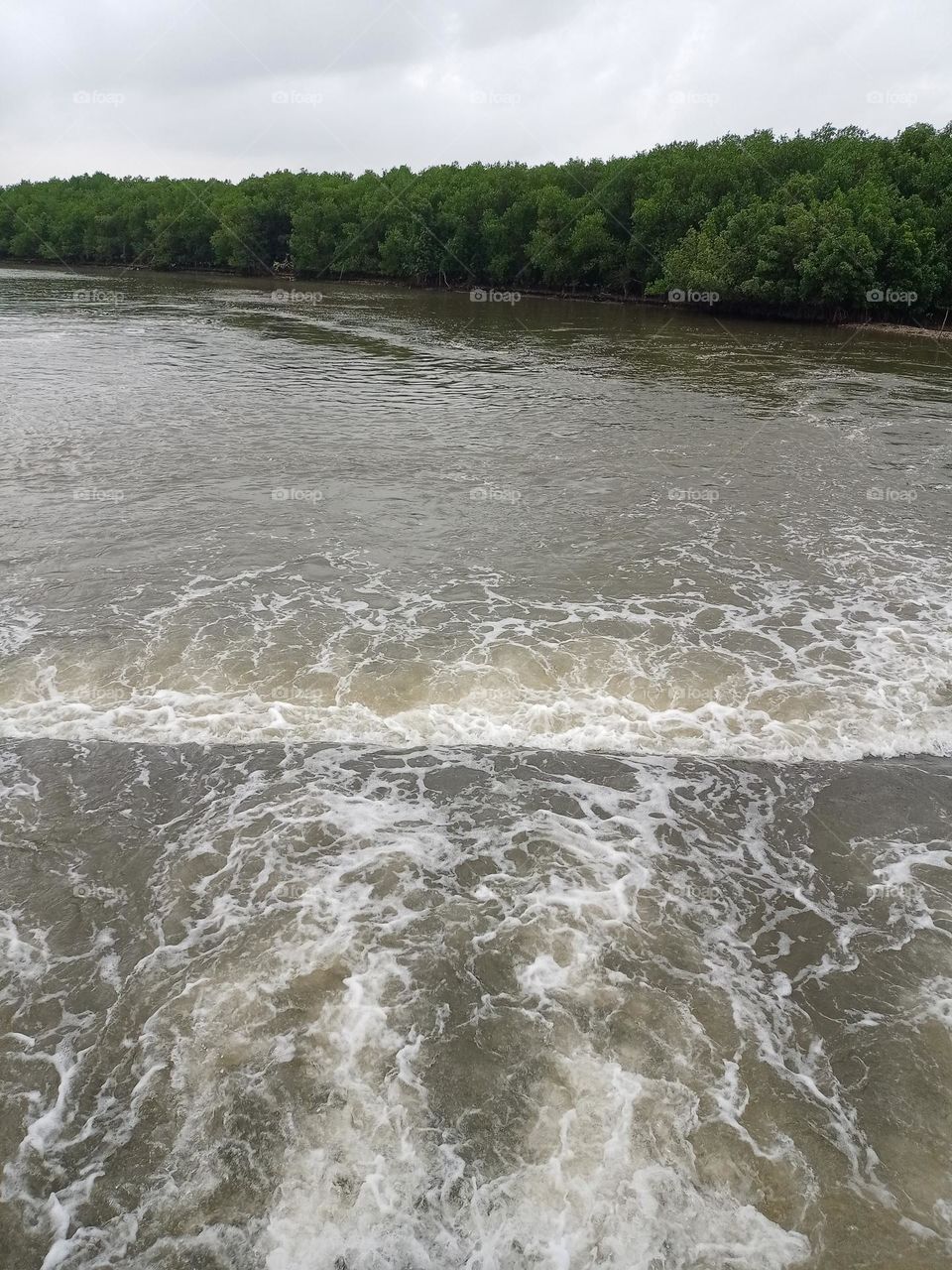 nice view of the in two steps with nice background of mountain tree