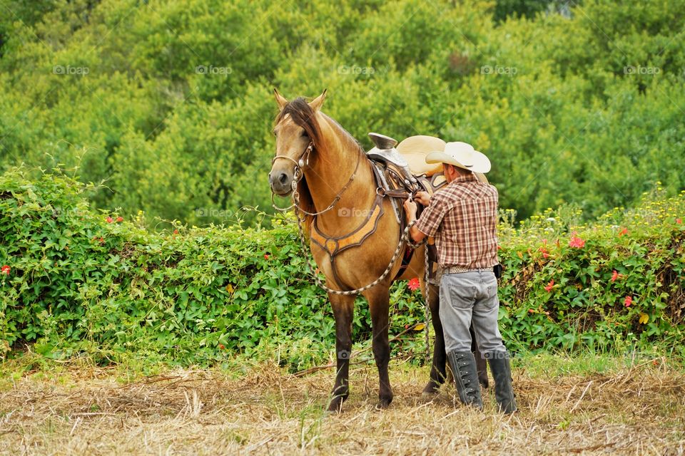 Cowboy With His Steed