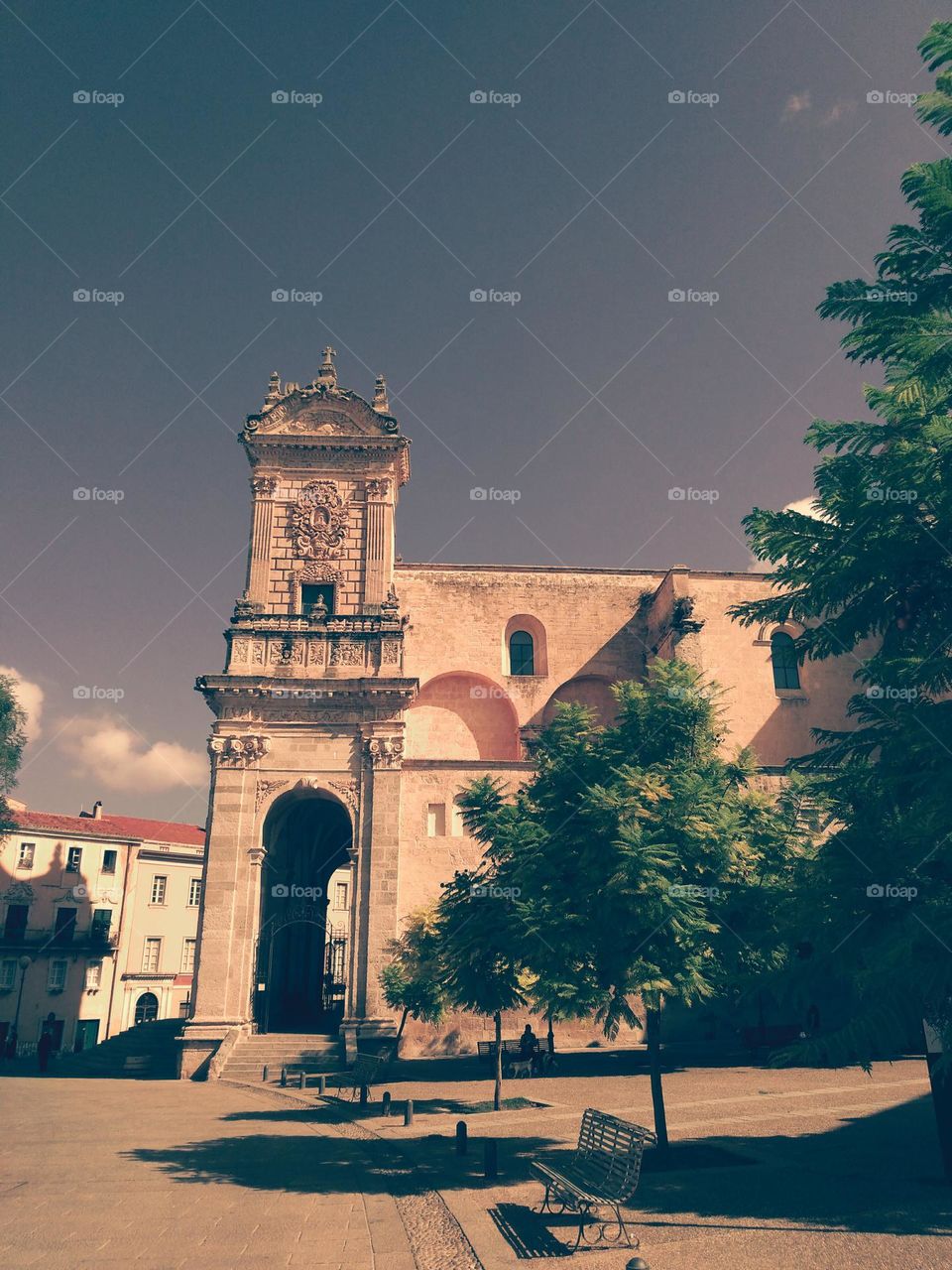 Editors' Choice: Photo of the Week