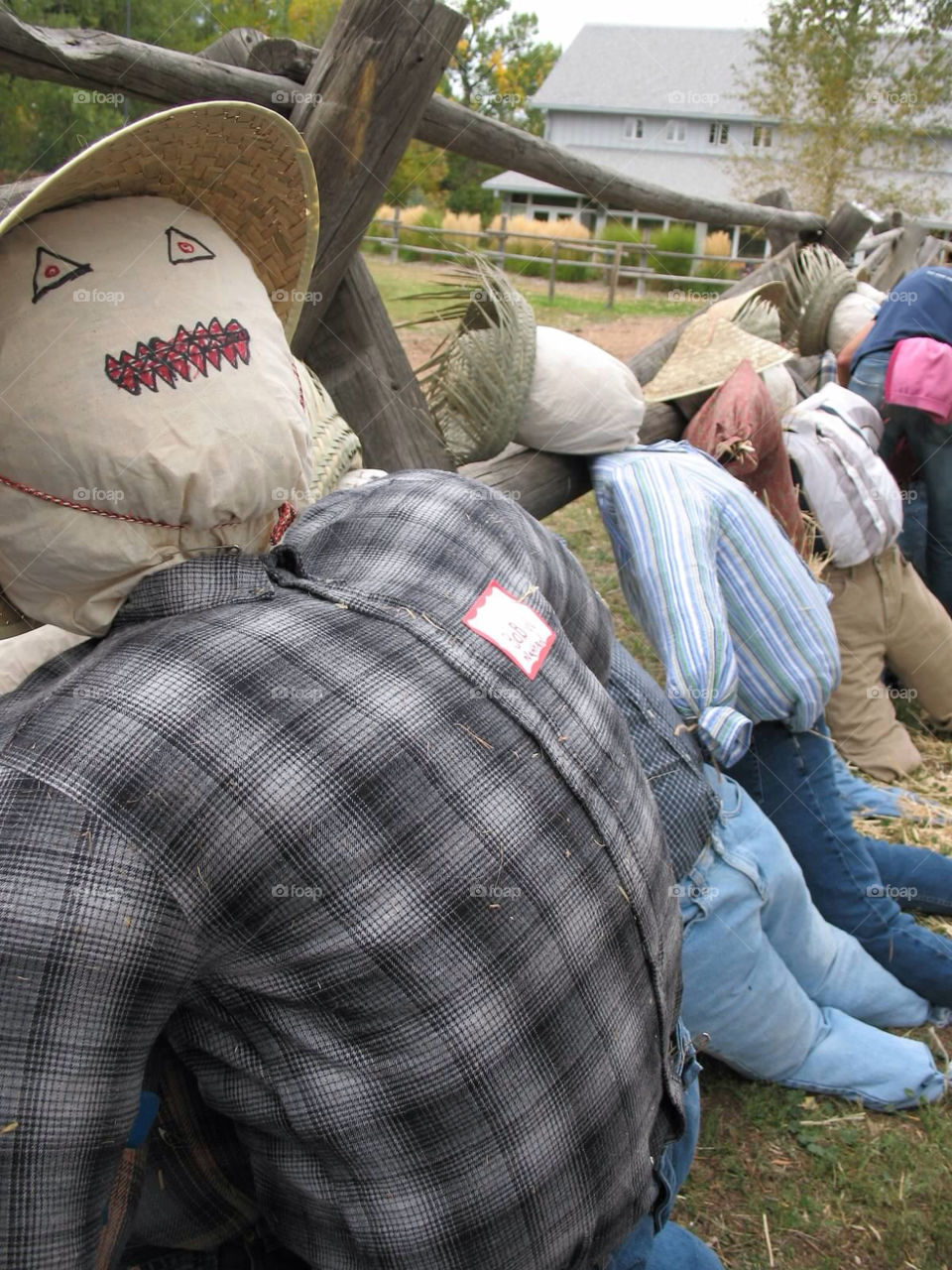 fall denver scarecrow four mile house by ezdrossi