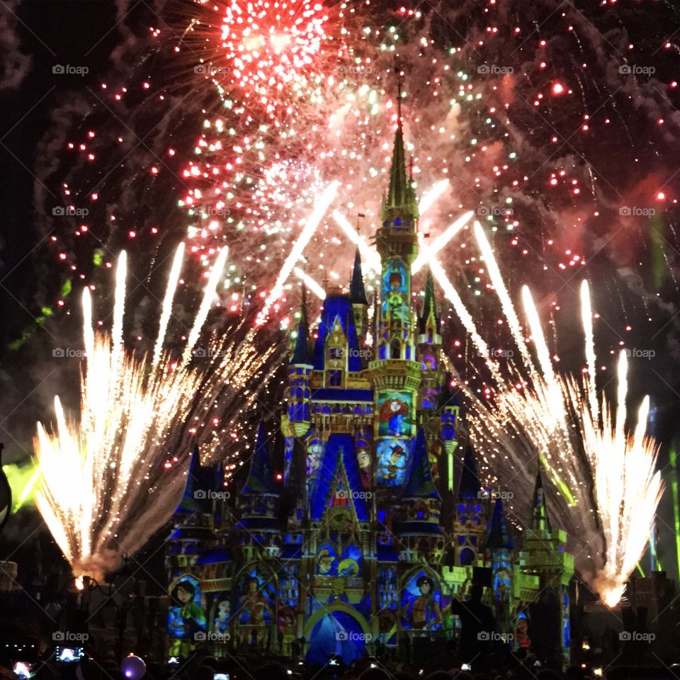 Happily ever after fireworks 
