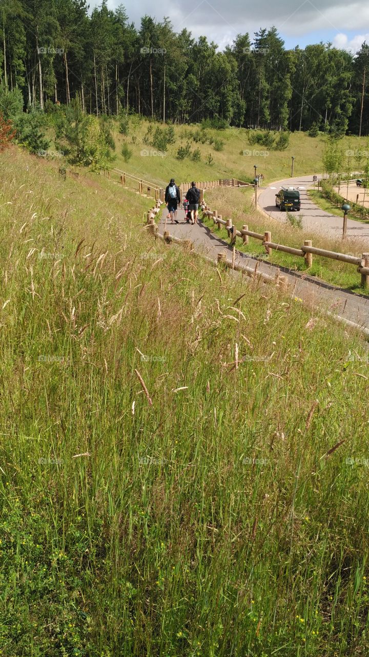 Nature, Landscape, No Person, Outdoors, Grass