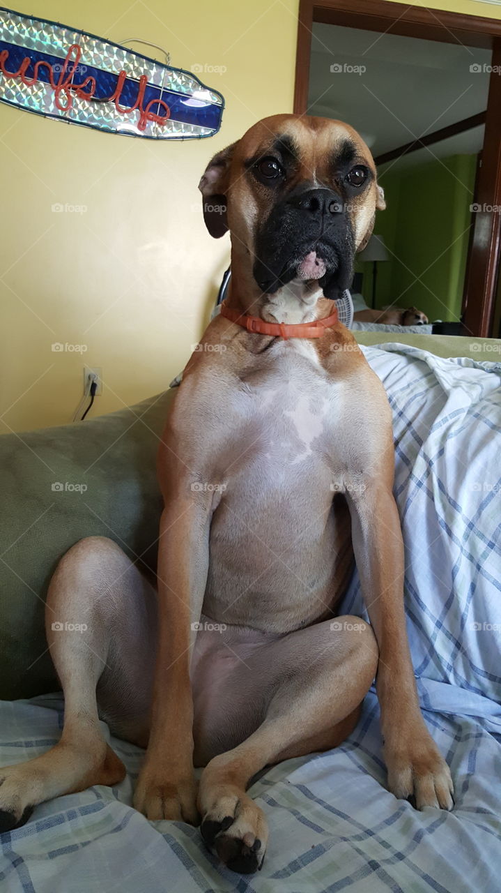 Personification. She sits just like people do.