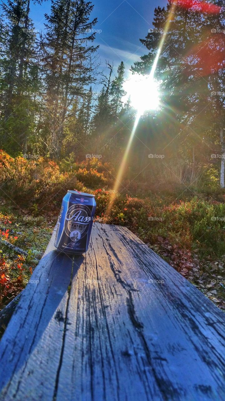 Beer in the autumn sun,  Norway