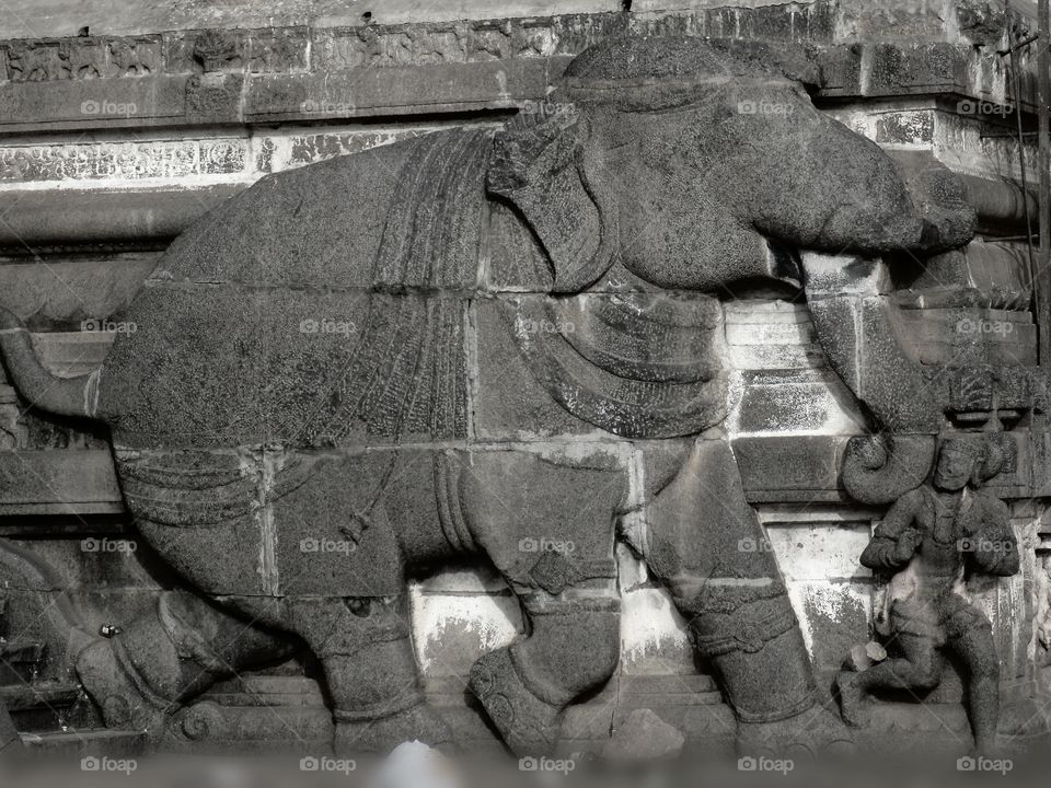 Elephant art. Elephant art in Chidambaram nadarajar temple. it's a carving on wall rock.