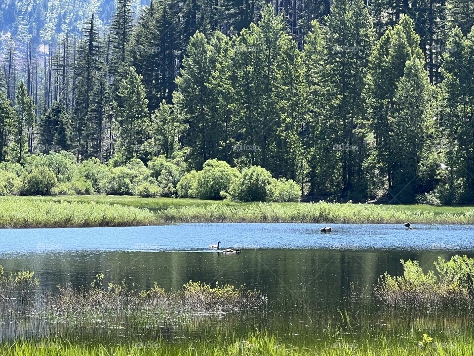 I captured a disappearing in the mountains