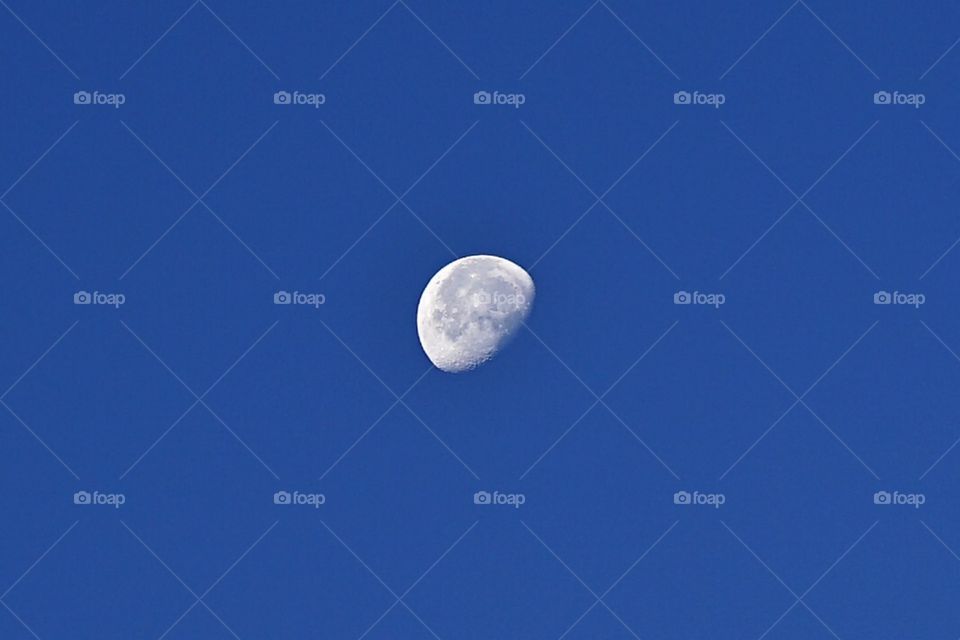 Summer Moon