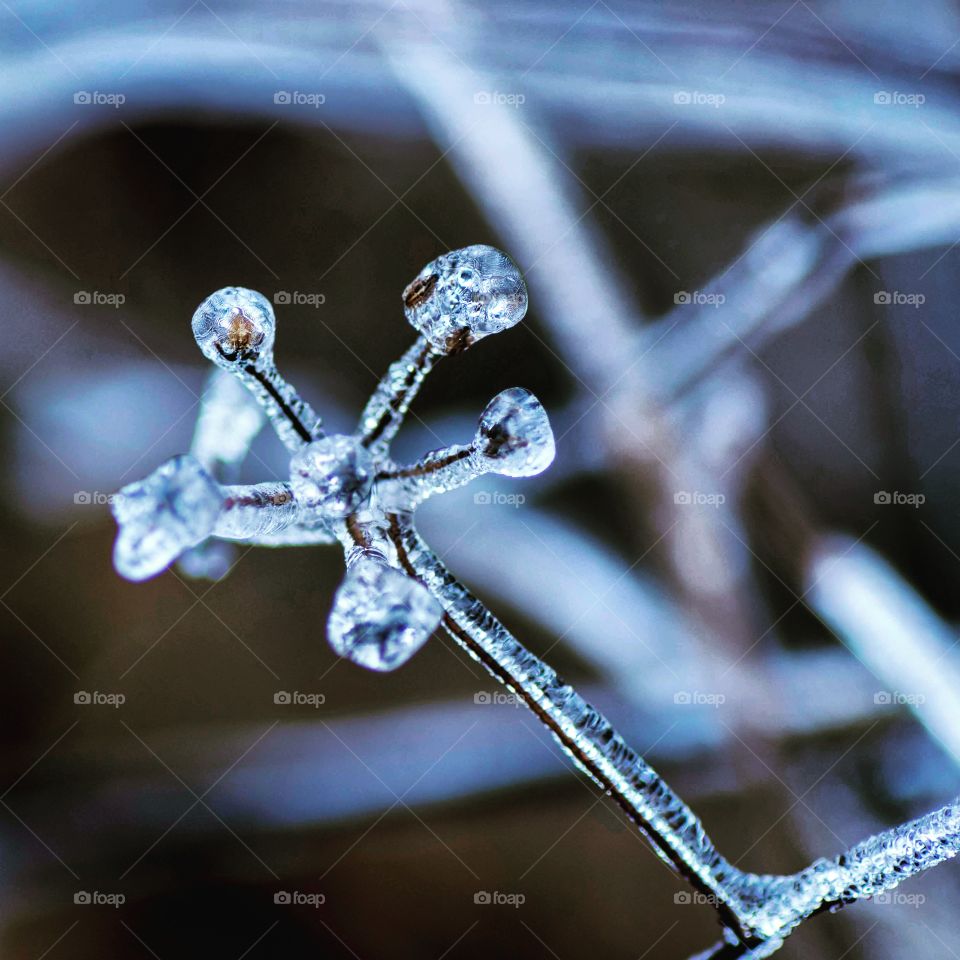 Crystal, No Person, Winter, Cold, Frozen