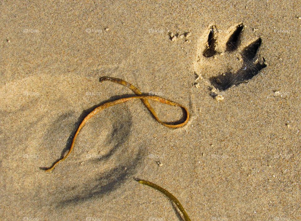 On the beach