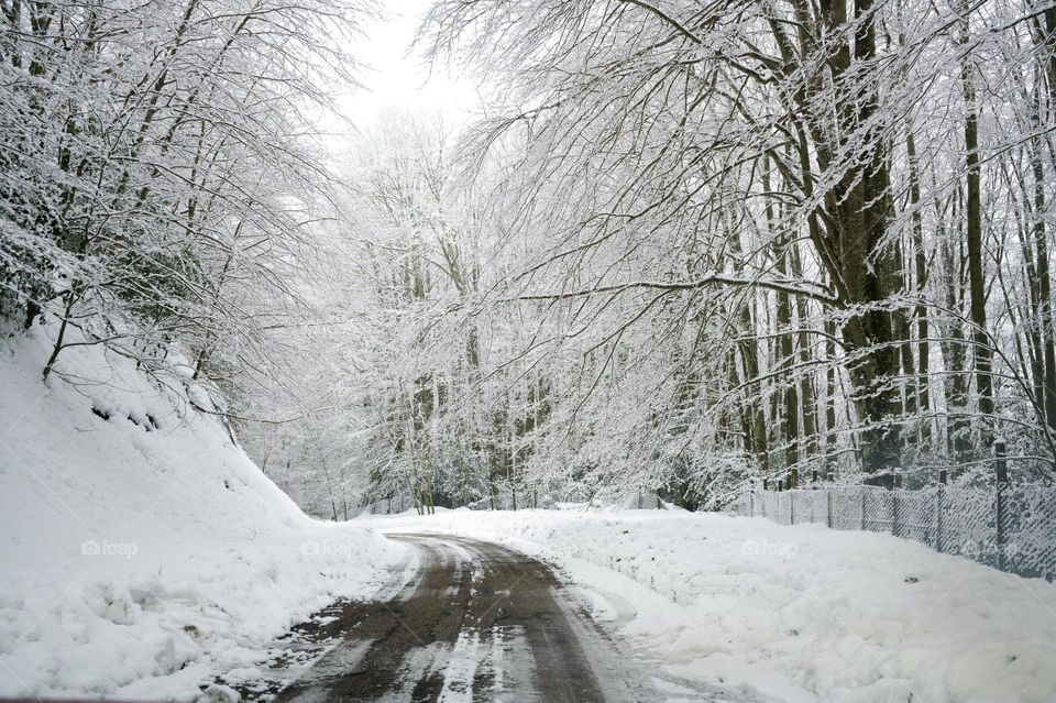 mountain road after snowfall